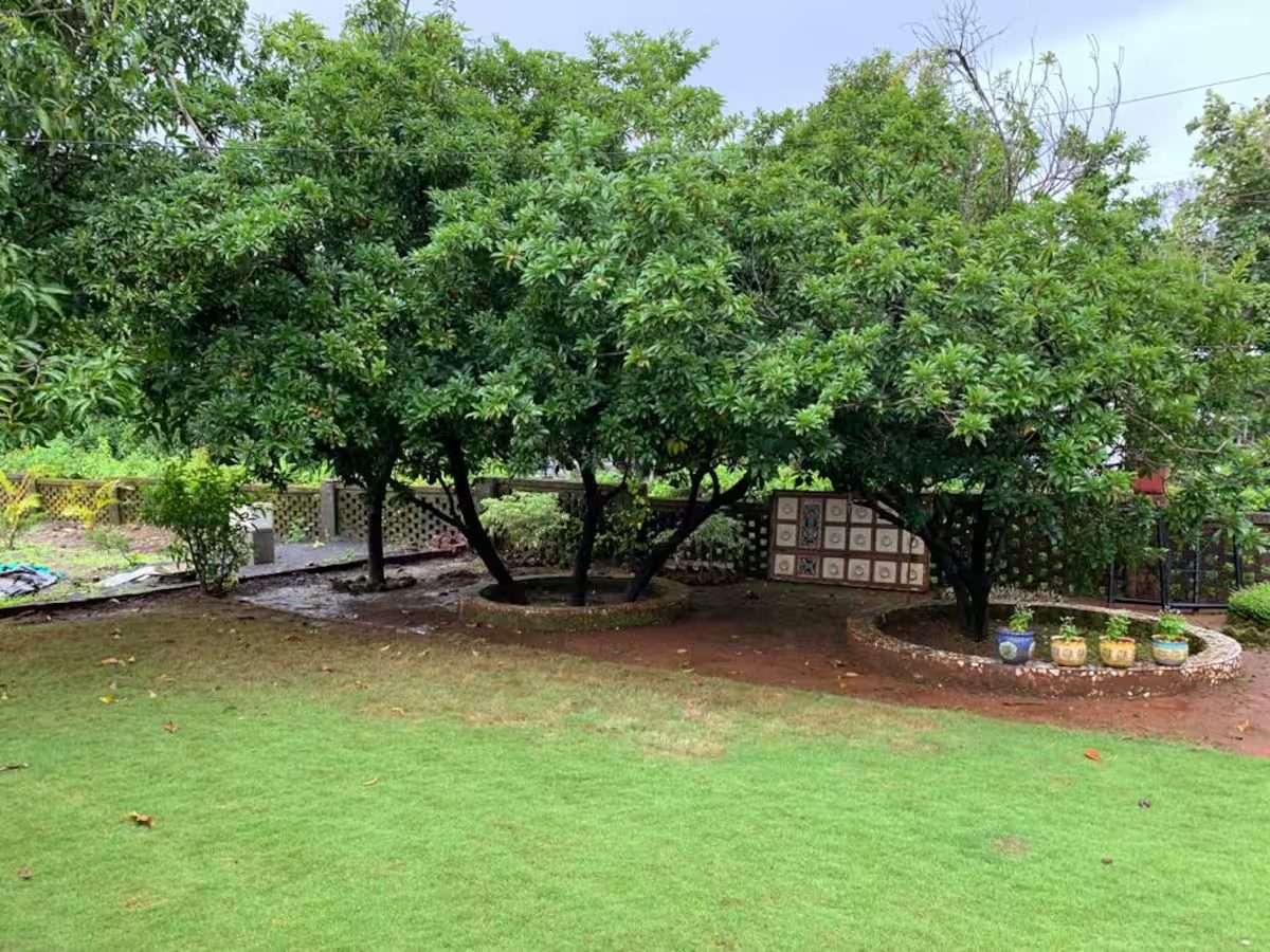 Seating circle under the mango trees