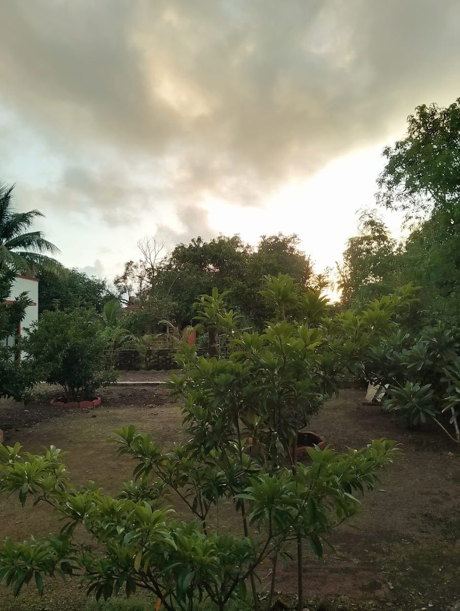 Sunset over the garden